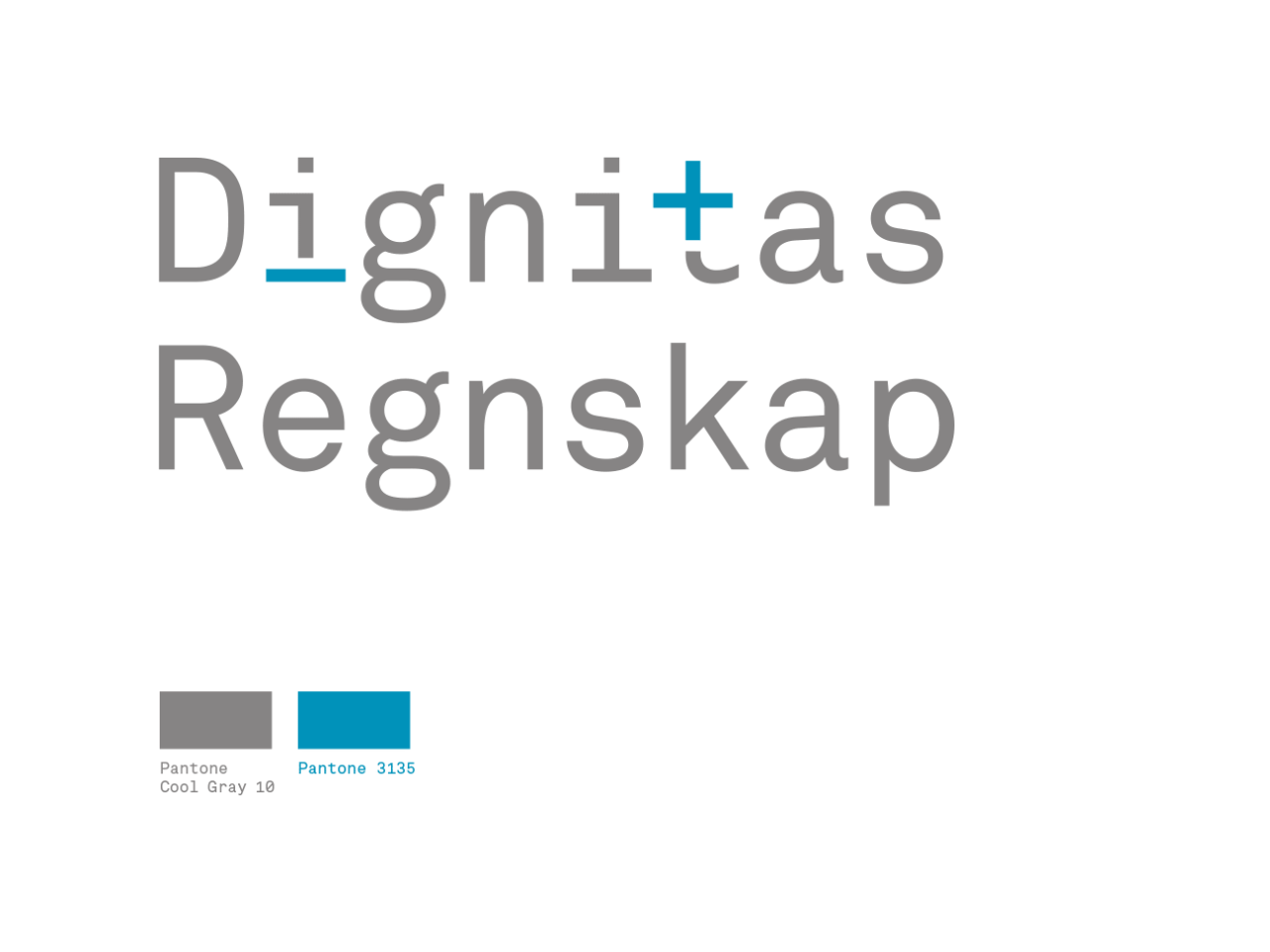 Dignitas Regnskap logo og fargepalett